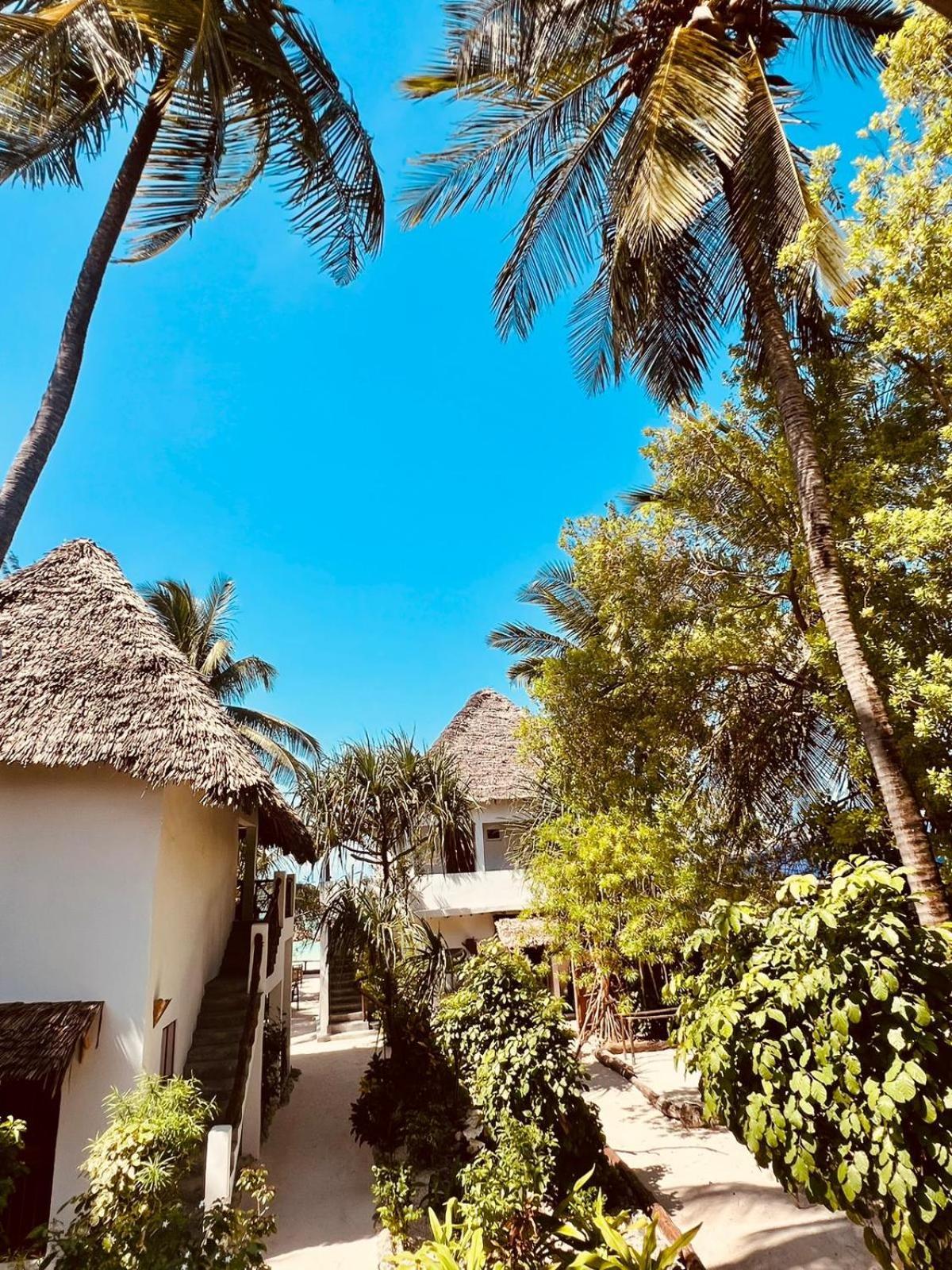 Helwas Zanzibar Beach Hotel 布韦朱 外观 照片
